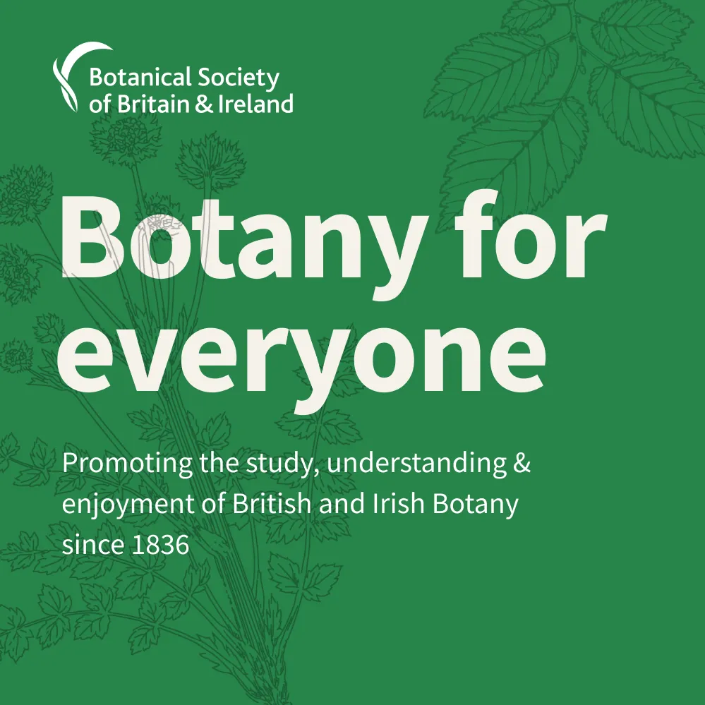 A user-centred redesign for a British institution